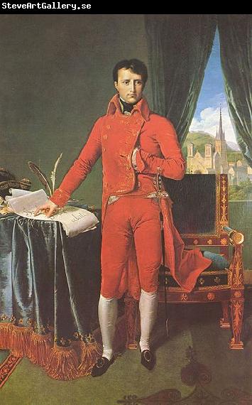 Jean-Auguste Dominique Ingres Portrat Napoleon Bonapartes als Erster Konsul